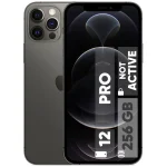 گوشی اپل مدل iPhone 12 Pro حافظه 256 گیگ رم 6 گیگ