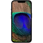 گوشی اپل مدل iPhone 13 Pro حافظه 256 گیگ CH آبی (کار کرده) - Image 10