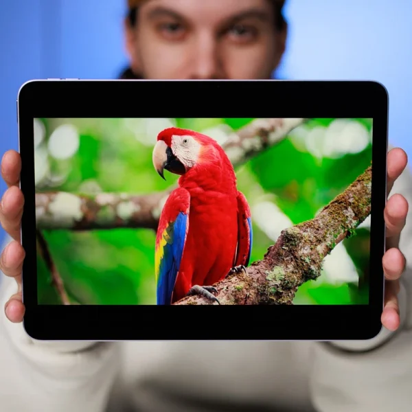 تبلت اپل مدل 2026 IPad Air8 M4 حافظه 128 گیگ 13 اینچ - Image 26